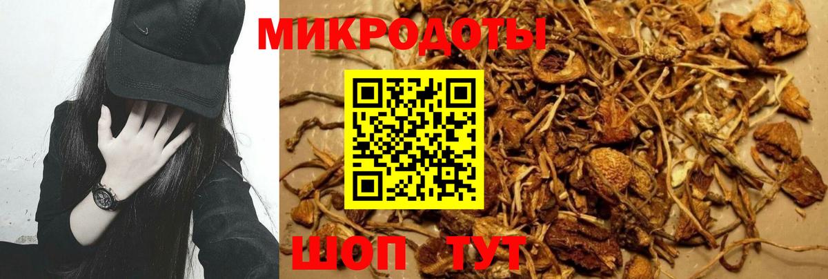 Галлюциногенные грибы MAGIC MUSHROOMS Нягань