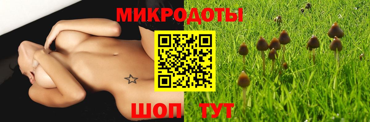Нягань  Псилоцибиновые грибы прущие грибы  Вход с VPN 